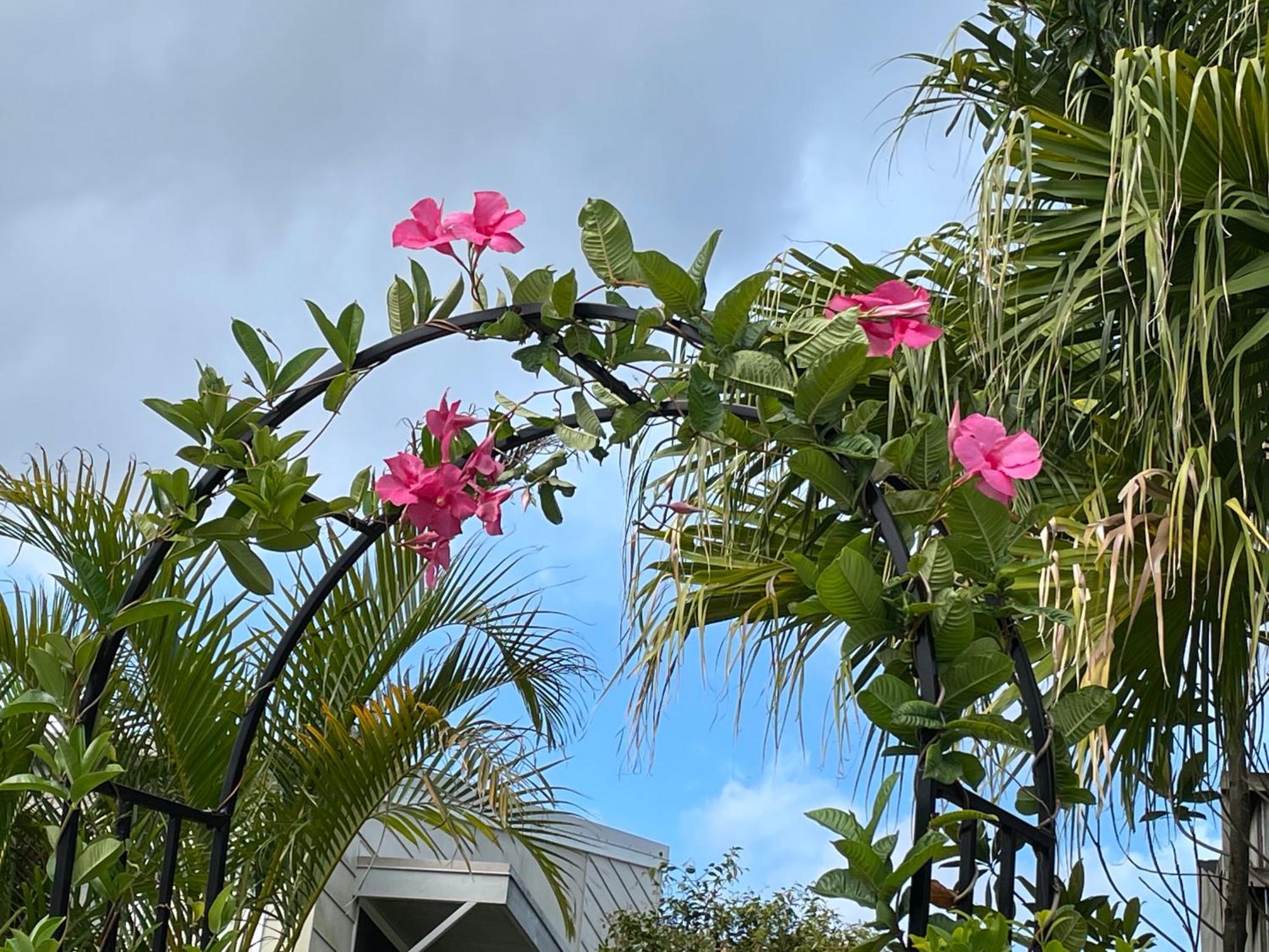 Theme Parks Amituofo Homestay Gold Coast Exterior foto